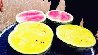 阳新吃瓜爆料,揭秘当地热点事件背后的真相