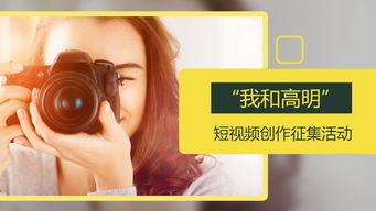 每日黑料每日大赛,揭秘网络热点背后的故事与真相